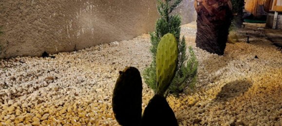 Villa 3+1 in Serik, Turkey No. 34188 18