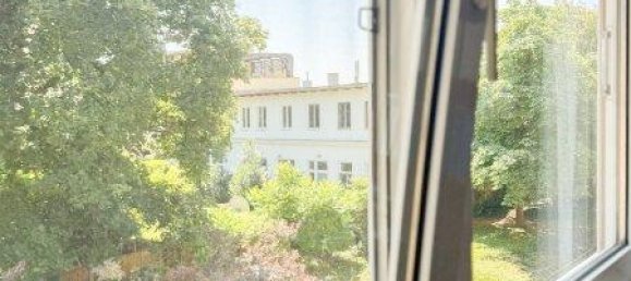 5 rooms Apartment in Baden, Austria No. 195565 27