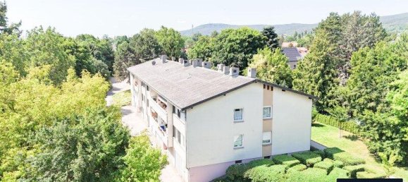 5 rooms Apartment in Baden, Austria No. 195565 20