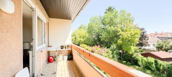 5 rooms Apartment in Baden, Austria No. 195565 13