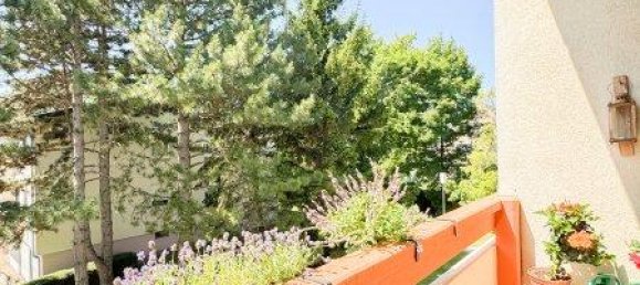 5 rooms Apartment in Baden, Austria No. 195565 17