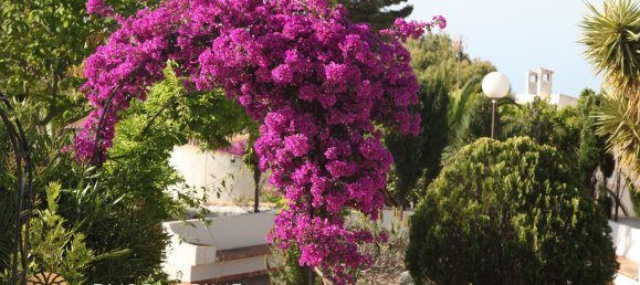 6 Schlafzimmer Villa in Altea, Spain, Nr. 5344 9