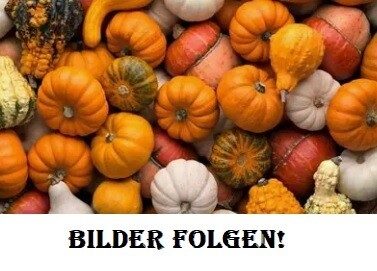 2 bedrooms Townhouse in Duisburg, Germany No. 334074