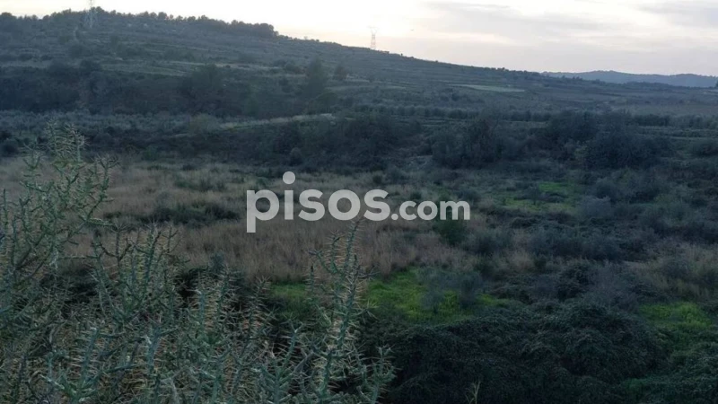 Terreno en Tarragona, Spain 9570 m² No. 252894