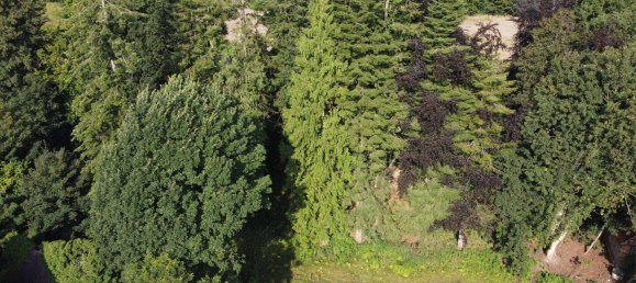 Terreno en Steinfurt, Germany No. 348698 4