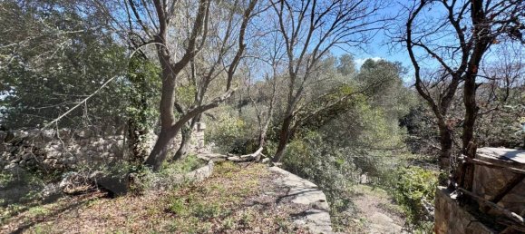 4 rooms Villa in Ostuni, Italy No. 17064 18