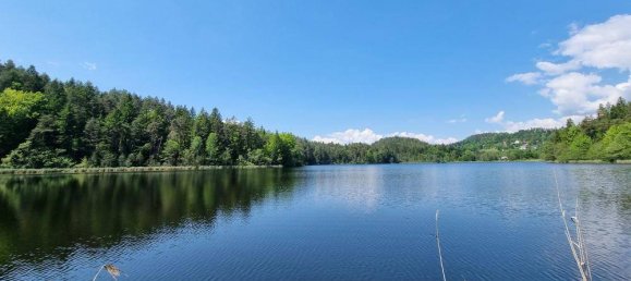 2 rooms Bungalow in Velden am Worther See, Austria No. 242837 2