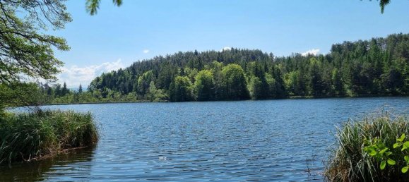 2 rooms Bungalow in Velden am Worther See, Austria No. 242837 4