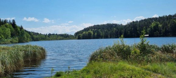 2 rooms Bungalow in Velden am Worther See, Austria No. 242837 3