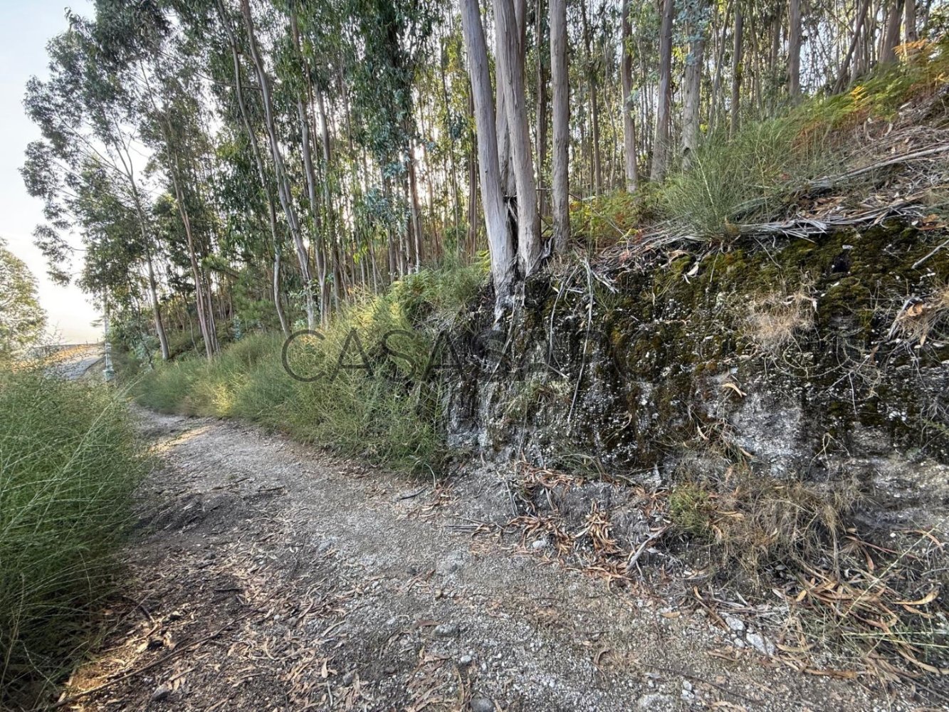 Terrain à Cendufe, Portugal 1480m² No. 321057