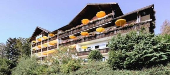 Hôtel à Ortenaukreis, Germany No. 56780 2