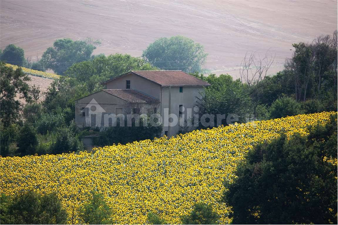 5 rooms House in Senigallia, Italy No. 257532