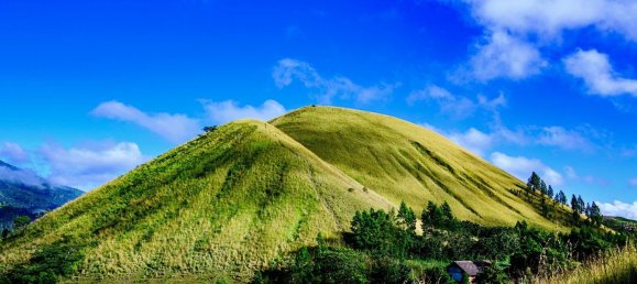 7-Zimmer Haus in Bagno di Romagna, Italy, Nr. 15955 18