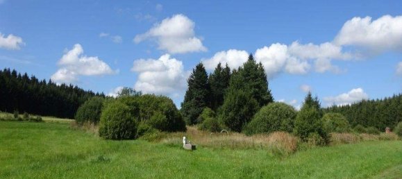 Casa de 5 divisões em Sallingberg, Austria N.º 244310 5