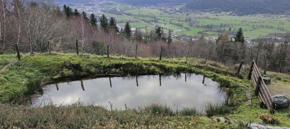 8 Schlafzimmer Haus in Vagney, France, Nr. 42262 17