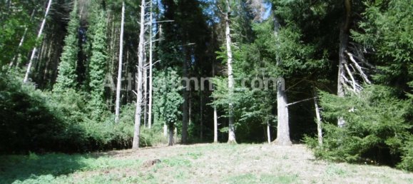 5-Zimmer Haus in Nay, France, Nr. 358001 10