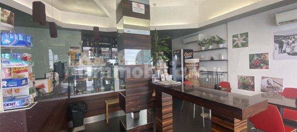 2 rooms Commercial property in Piacenza, Italy No. 213420 6