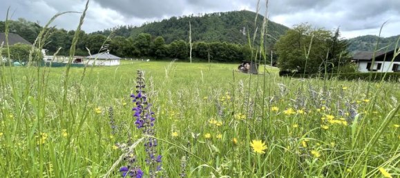 Grundstück in Gratkorn, Austria 6257m², Nr. 214469 3