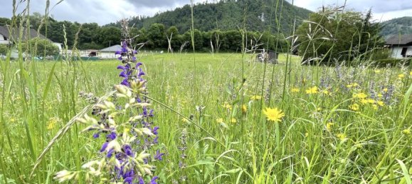 Grundstück in Gratkorn, Austria 6257m², Nr. 214469 2