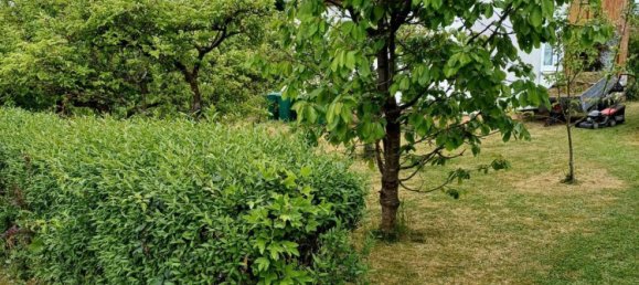 Grundstück in Nordhausen, Germany, Nr. 246762 13