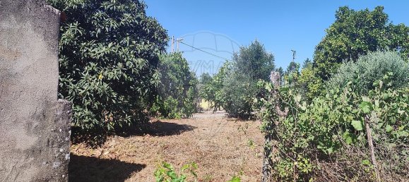 2 chambres Maison à Abrantes, Portugal No. 20176 3