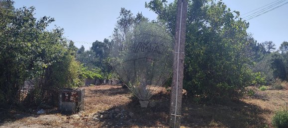 2 chambres Maison à Abrantes, Portugal No. 20176 18