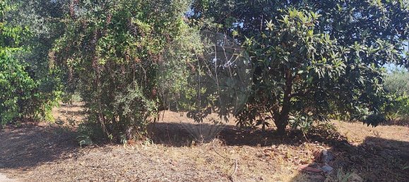 2 chambres Maison à Abrantes, Portugal No. 20176 22