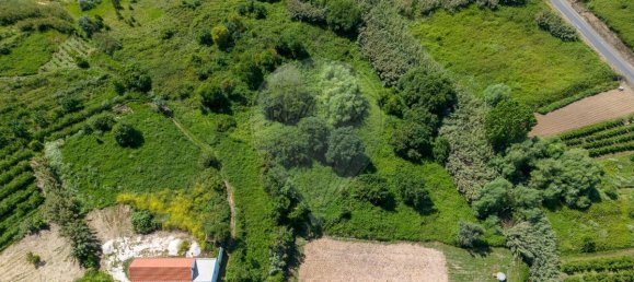 3 bedrooms House in Alcobaca, Portugal No. 19669 12