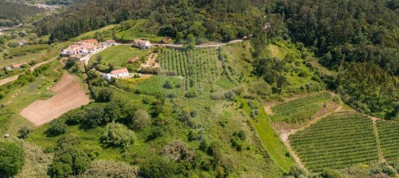 3 bedrooms House in Alcobaca, Portugal No. 19669 14