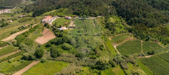 3 bedrooms House in Alcobaca, Portugal No. 19669 8