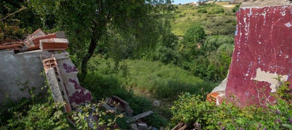 3 bedrooms House in Alcobaca, Portugal No. 19669 7