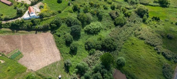 3 bedrooms House in Alcobaca, Portugal No. 19669 13