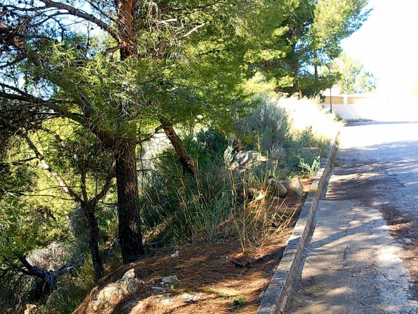 1332m² Land in Calpe, Spain No. 149091