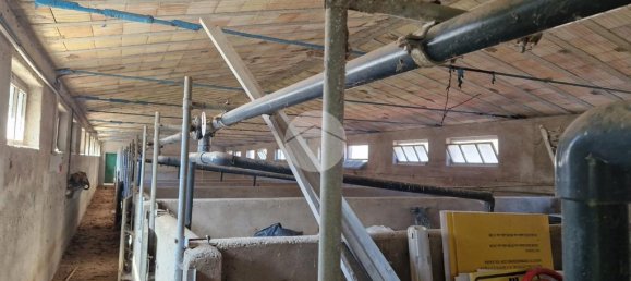 2غرفة قطعة أرض في Fagnano Alto, Italy رقم 43145 16