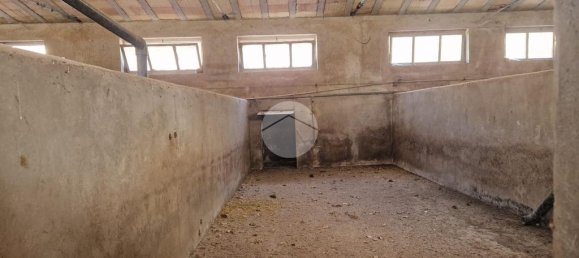 2غرفة قطعة أرض في Fagnano Alto, Italy رقم 43145 15