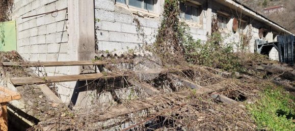 2غرفة قطعة أرض في Fagnano Alto, Italy رقم 43145 8