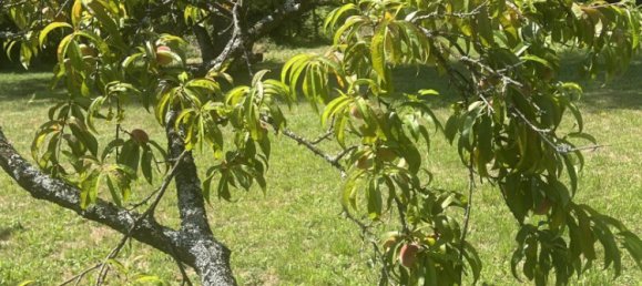  Land in St. Veit an der Glan, Austria No. 219422 9