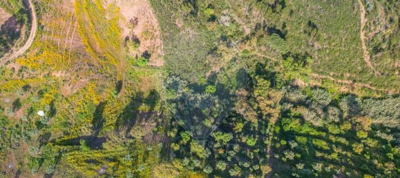 6000m² Land in Praia do Ribatejo, Portugal No. 82933 5