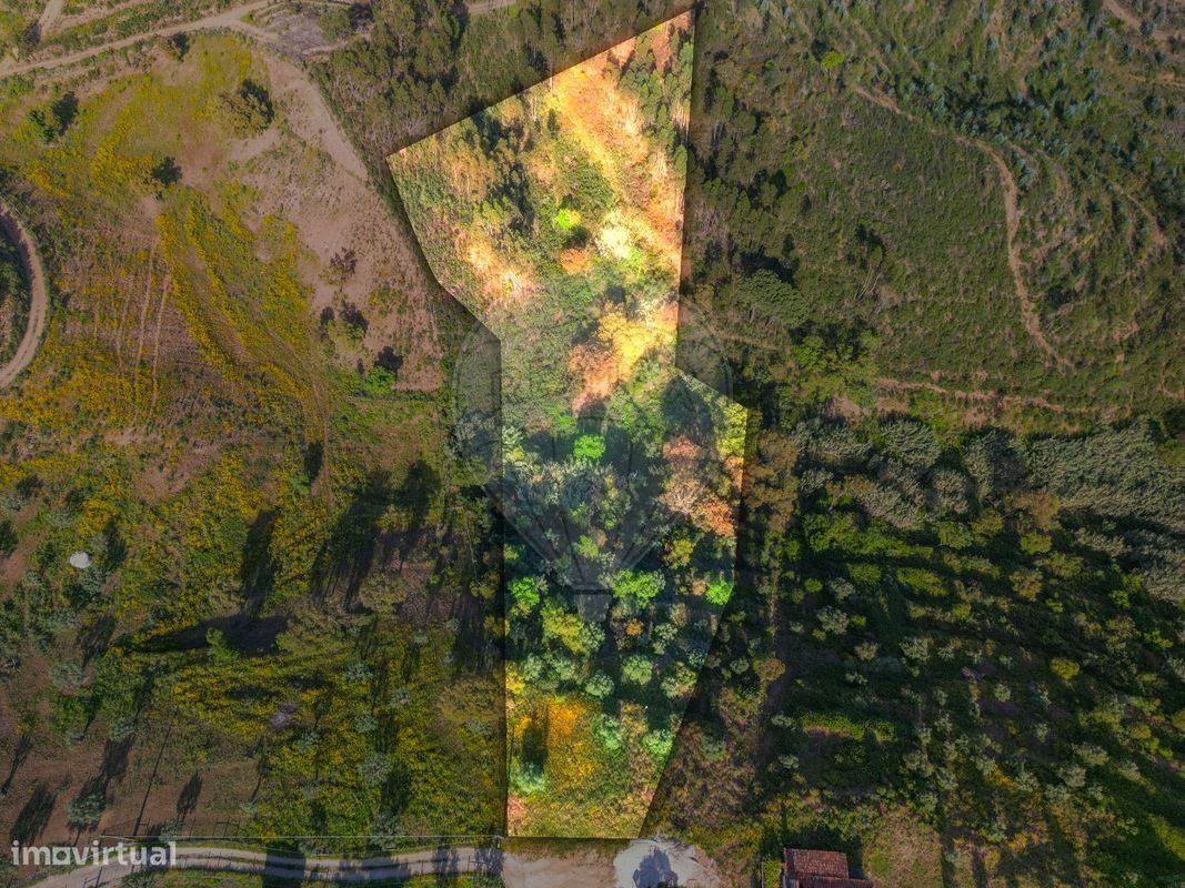 6000m² Land in Praia do Ribatejo, Portugal No. 82933