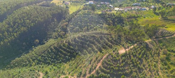 6000m² Land in Praia do Ribatejo, Portugal No. 82933 13