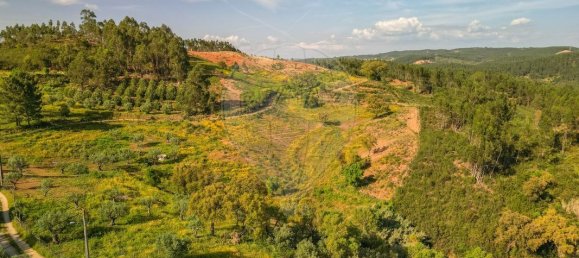 6000m² Land in Praia do Ribatejo, Portugal No. 82933 4