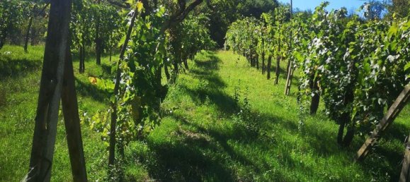 5 غرف نوم منزل في San Giovanni Valdarno, Italy رقم 363918 39