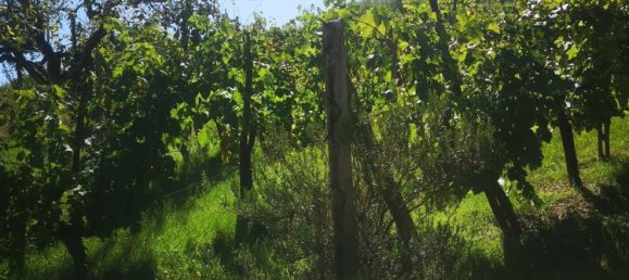 5 غرف نوم منزل في San Giovanni Valdarno, Italy رقم 363918 38