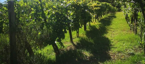 5 غرف نوم منزل في San Giovanni Valdarno, Italy رقم 363918 37