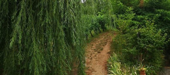 5 غرف نوم منزل في San Giovanni Valdarno, Italy رقم 363918 10