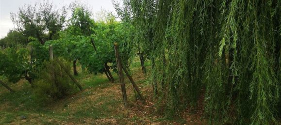 5 غرف نوم منزل في San Giovanni Valdarno, Italy رقم 363918 9