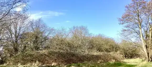 7-salle Châteaux à Cuxhaven, Germany No. 97969 19