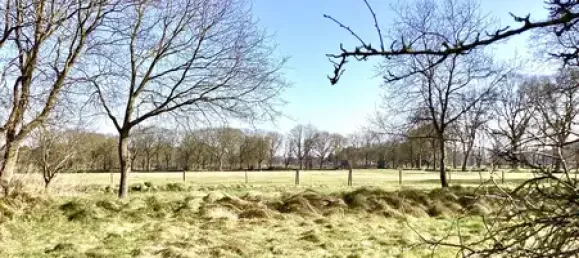 7-salle Châteaux à Cuxhaven, Germany No. 97969 16