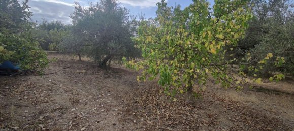 Grundstück in Montelepre, Italy, Nr. 336778 7