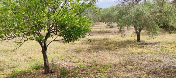 Grundstück in Montelepre, Italy, Nr. 336778 5